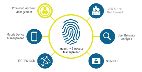 Identity and Access Management (IAM):