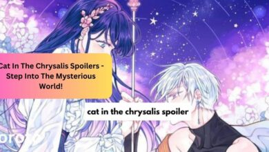 Cat In The Chrysalis Spoilers - Step Into The Mysterious World!